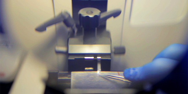 Through The Magnifier