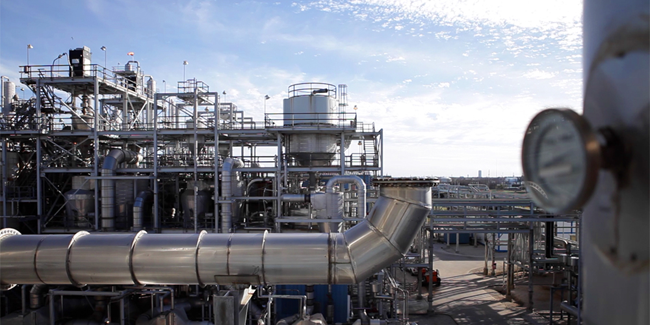 EVAL Plant