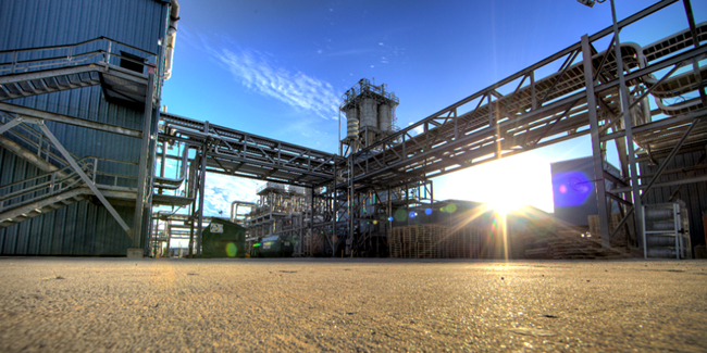 Plant HDR