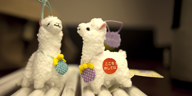 Kuraray Alpacas