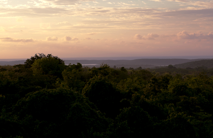 Sunrise over Forrest