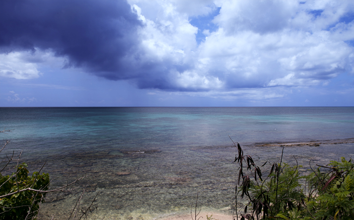 Ocean