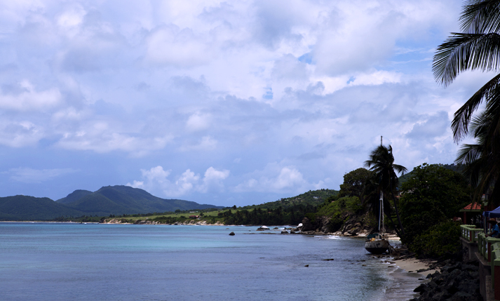 Whole Island