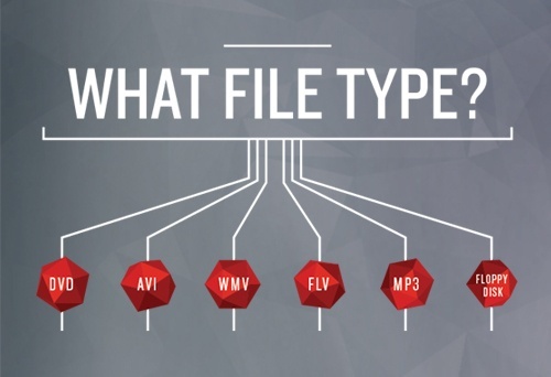 5 - What File Type Do You Need? Inforgaphic.jpg