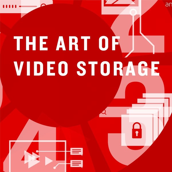 The Art of Video Storage